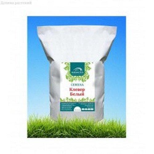 Белый Клевер Белый Клевер фото