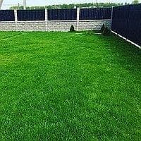 Травосмесь газонная универсальная "Зеленая Русь" фото