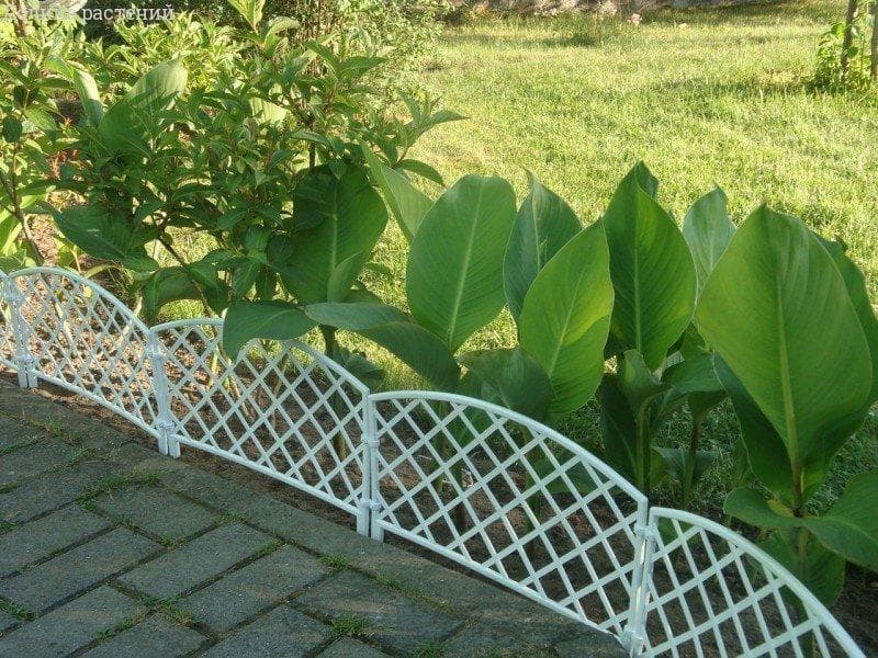 Заборчик декоративный №1 Romanika 2,95м высота 33см (7 эл.) фото