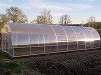 Поликарбонат Тепличный 3,3мм фото