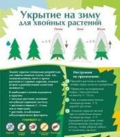 Укрытие зимнее для хвойных, 120*97 см, белое, без рисунка фото