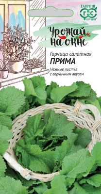 Горчица листовая Прима "Урожай на окне" Горчица листовая Прима "Урожай на окне" фото