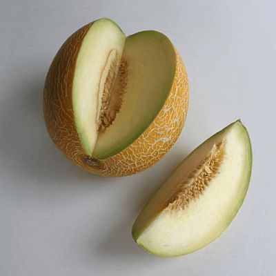 Дыня Царская Дыня Царская фото