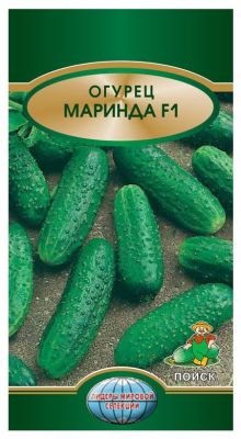 Огурец Маринда F1, 12шт. Голландия Огурец Маринда F1, 12шт. Голландия фото
