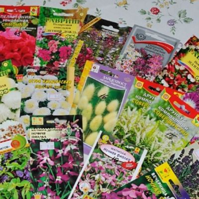 Микс из 5 упаковок семян Микс из 5 упаковок семян фото