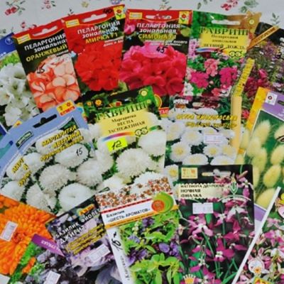 Микс из 5 упаковок семян Микс из 5 упаковок семян фото