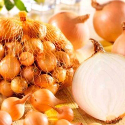 Лук-севок Стурон (10-21мм) фото