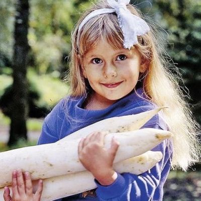 Дайкон Соловей Разбойник Дайкон Соловей Разбойник фото