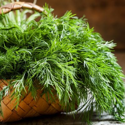 Укроп Иней 2,0 г ХИТ х3 Укроп Иней 2,0 г ХИТ х3 фото