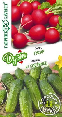 Огурец Гостинец + Редис Гусар фото