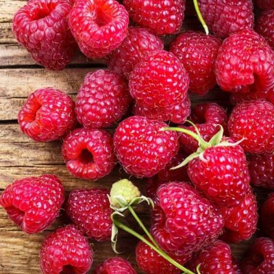 Малина Евразия/Ремонтантная Малина Евразия/Ремонтантная фото